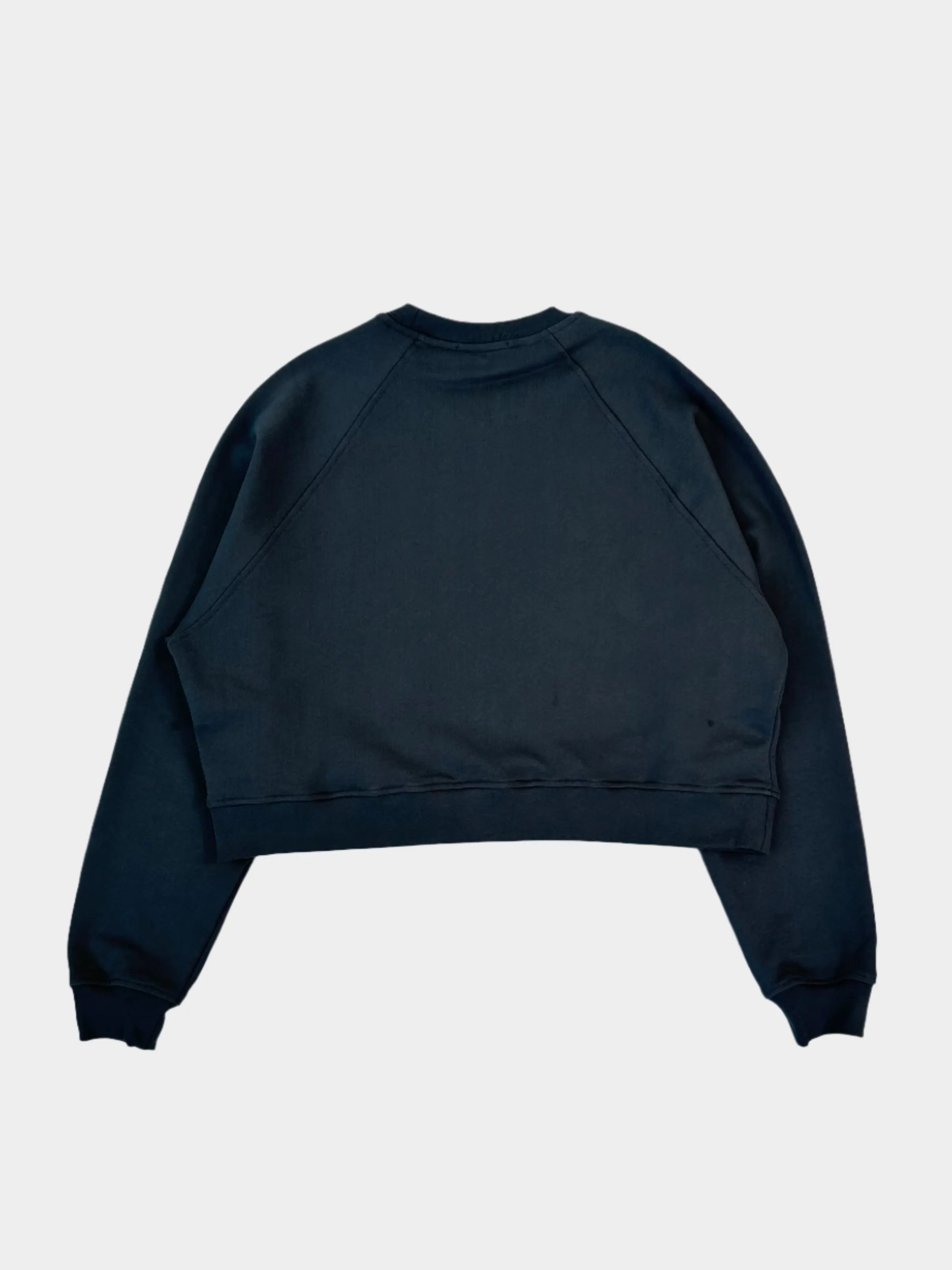 Felpa Crop Girocollo Color Ferro Con Logo In Tono