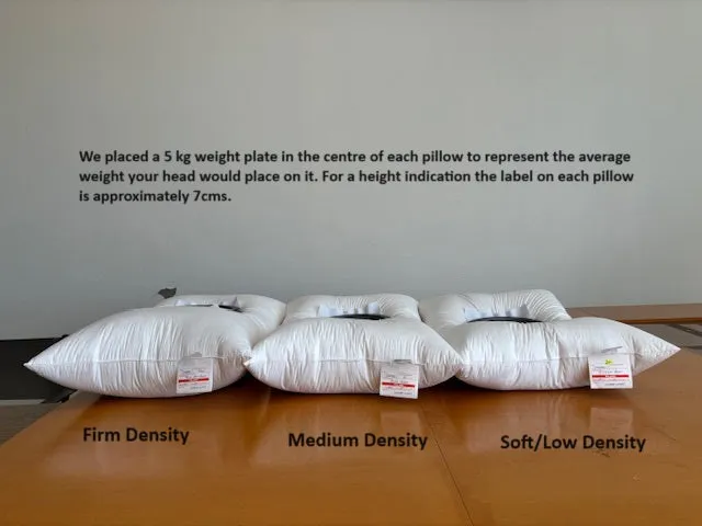 Standard Size Medium-Firm Density Pillow 95% White Premium Polish Mother Goose Down German Batiste TE270